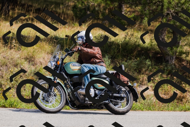 202509131331-_04A8411_c3