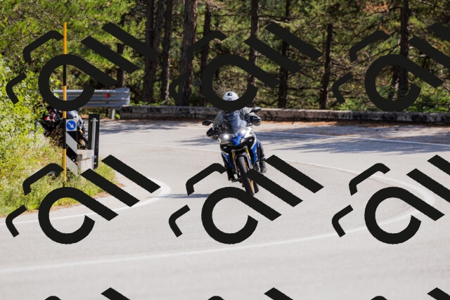 202509131331-_04A8413_c3