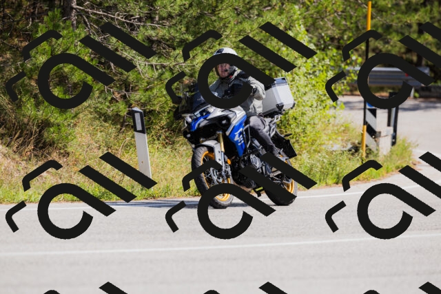 202509131331-_04A8415_c3