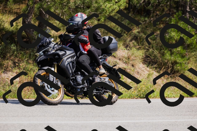 202509131331-_04A8418_c3