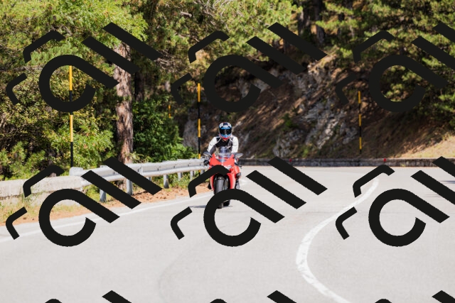 202509131332-_04A8419_c3