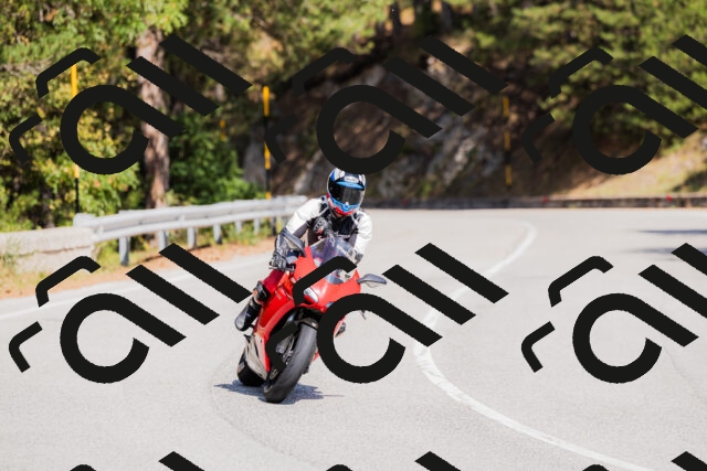 202509131332-_04A8422_c3