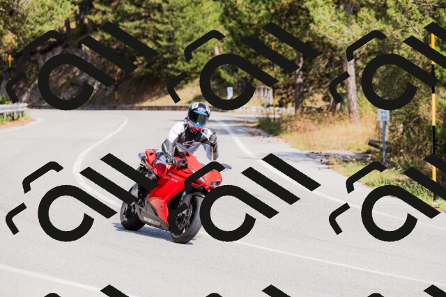 202509131332-_04A8424_c3