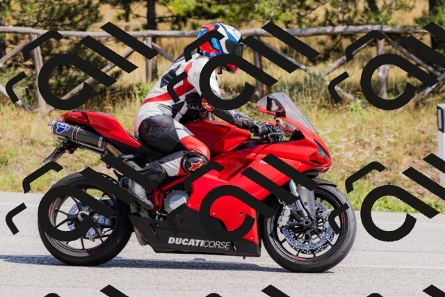 202509131332-_04A8427_c3