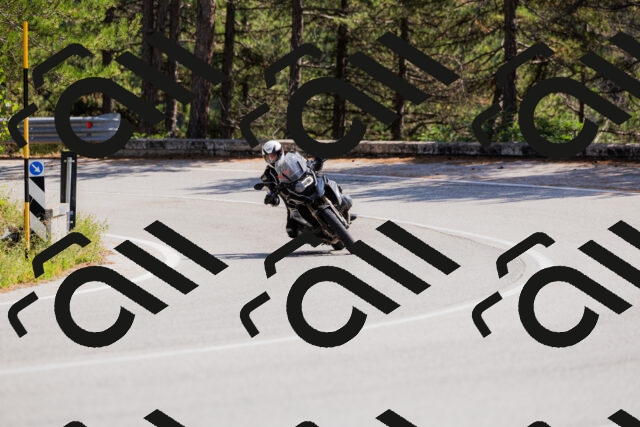 202509131332-_04A8428_c3