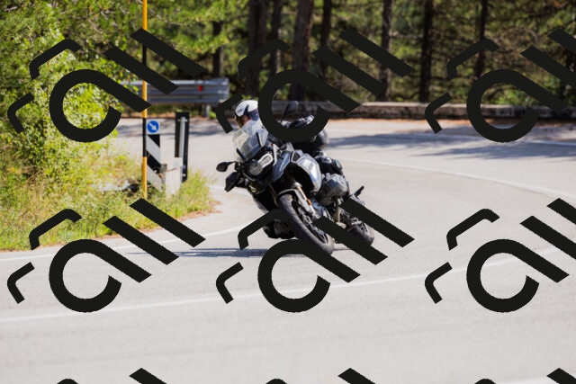 202509131332-_04A8431_c3