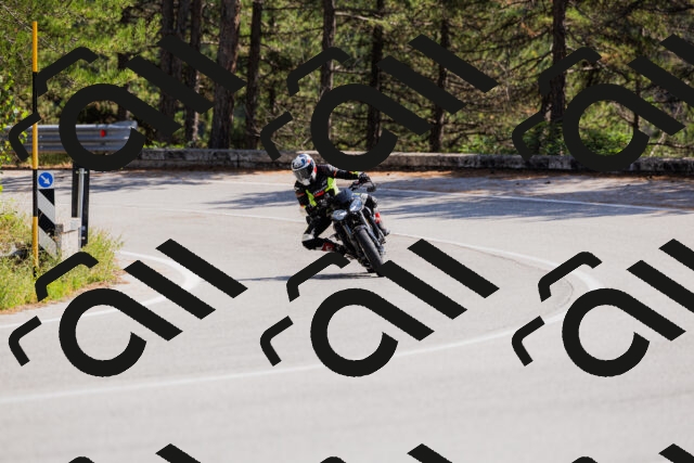 202509131334-_04A8440_c3