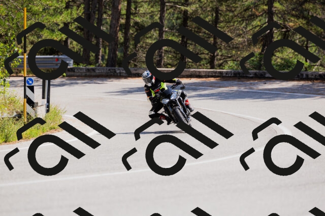 202509131334-_04A8441_c3