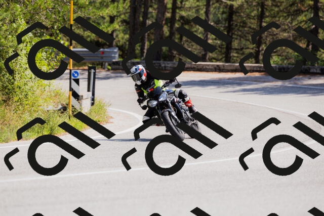 202509131334-_04A8442_c3