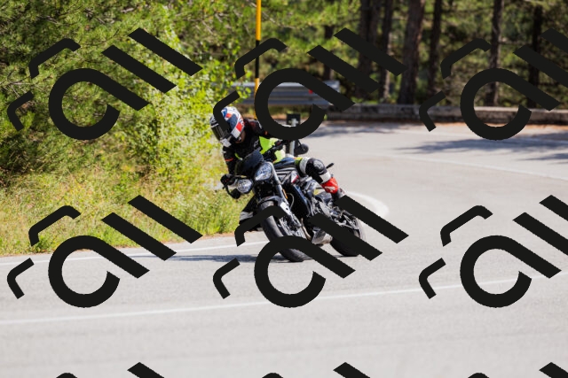 202509131334-_04A8443_c3