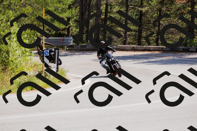 202509131334-_04A8446_c3