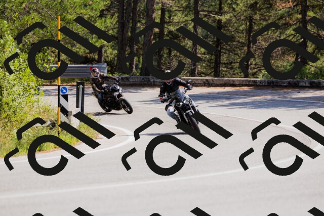 202509131334-_04A8447_c3