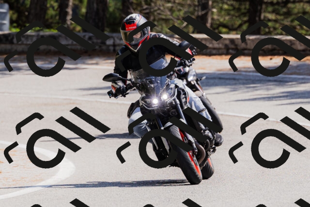 202509131334-_04A8448_c3