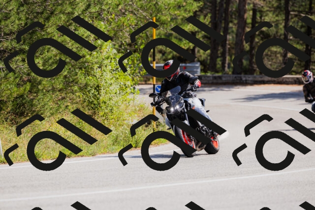 202509131334-_04A8449_c3