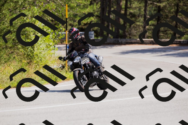 202509131334-_04A8450_c3