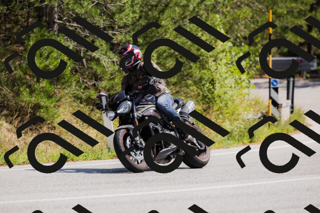 202509131334-_04A8451_c3