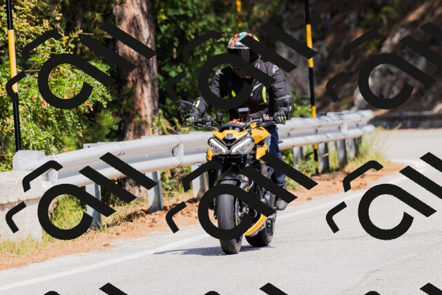 202509131335-_04A8456_c3