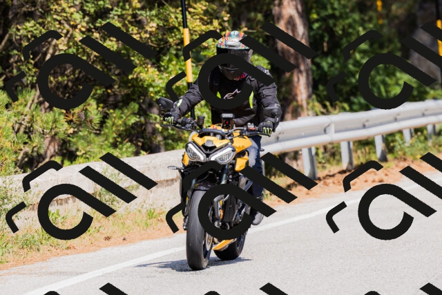 202509131335-_04A8457_c3