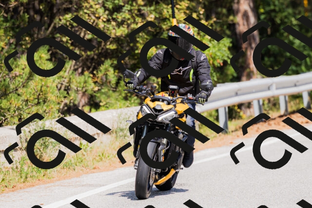 202509131335-_04A8458_c3