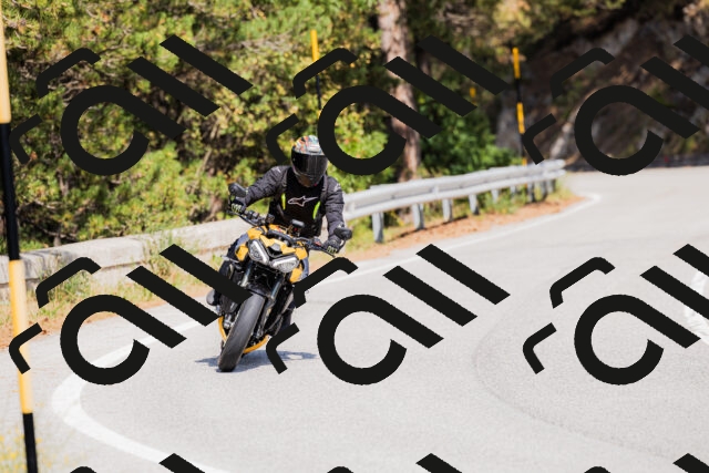 202509131335-_04A8459_c3