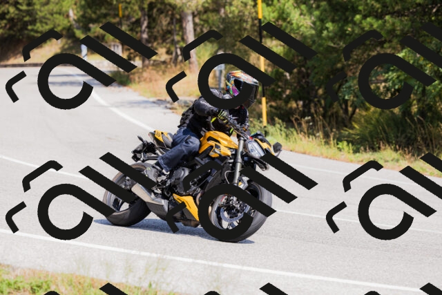 202509131335-_04A8460_c3