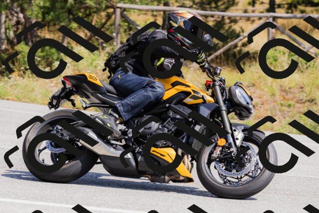 202509131335-_04A8461_c3