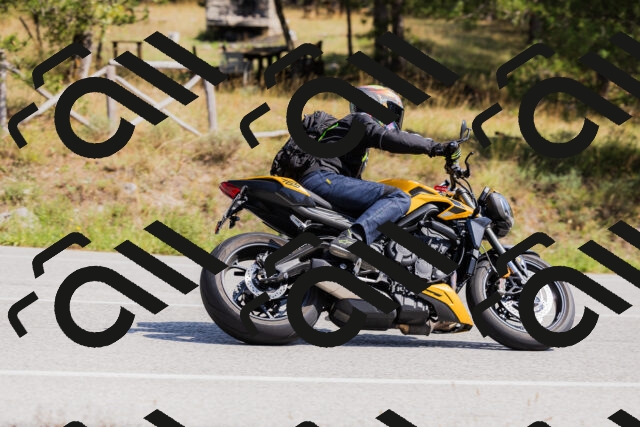 202509131335-_04A8462_c3