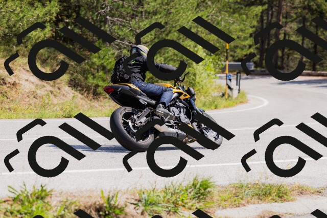 202509131335-_04A8463_c3