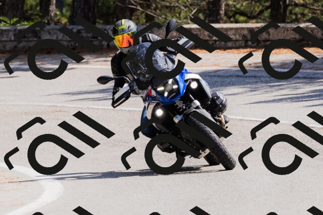 202509131335-_04A8464_c3