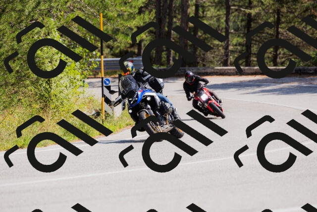 202509131335-_04A8467_c3