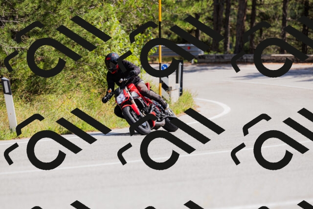 202509131335-_04A8469_c3