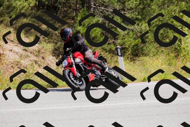 202509131335-_04A8470_c3