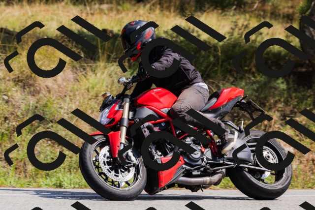 202509131335-_04A8471_c3