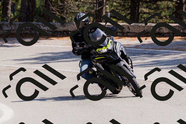 202509131336-_04A8472_c3