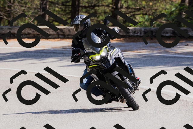 202509131336-_04A8474_c3