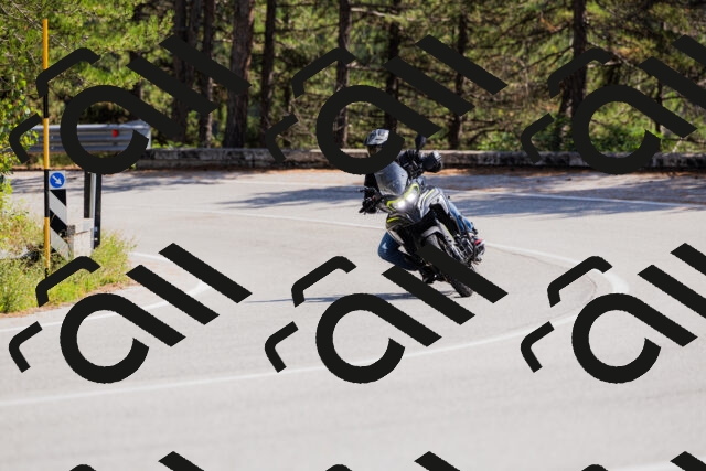 202509131336-_04A8475_c3