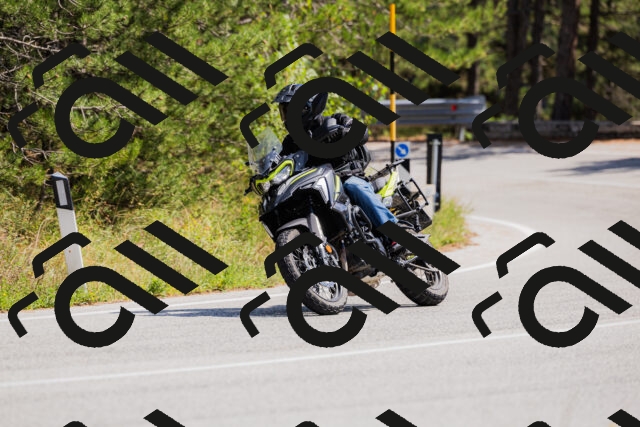 202509131336-_04A8477_c3