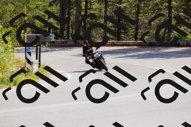 202509131337-_04A8479_c3