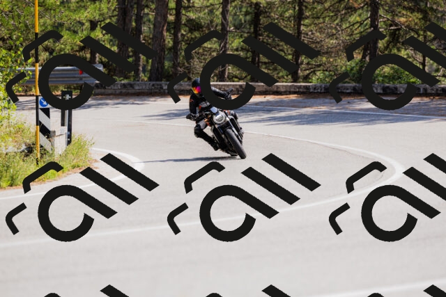 202509131337-_04A8480_c3