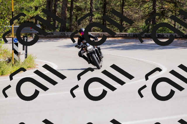 202509131337-_04A8481_c3