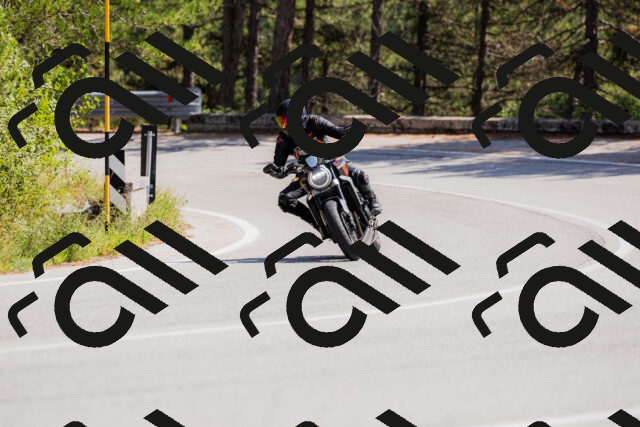 202509131337-_04A8482_c3