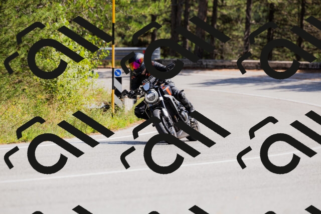 202509131337-_04A8483_c3