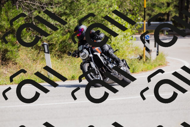 202509131337-_04A8484_c3