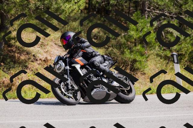 202509131337-_04A8485_c3