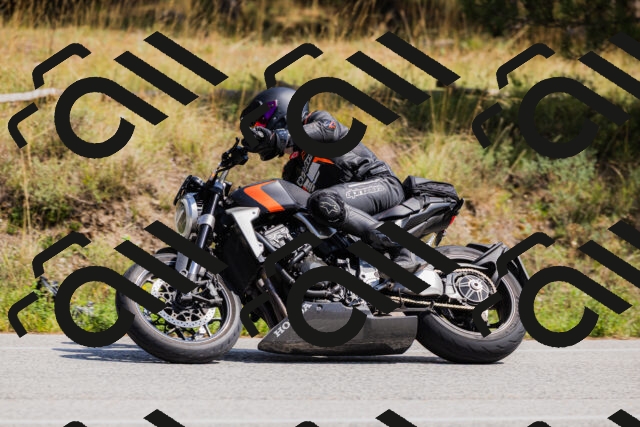 202509131337-_04A8486_c3