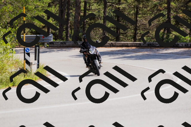 202509131339-_04A8487_c3