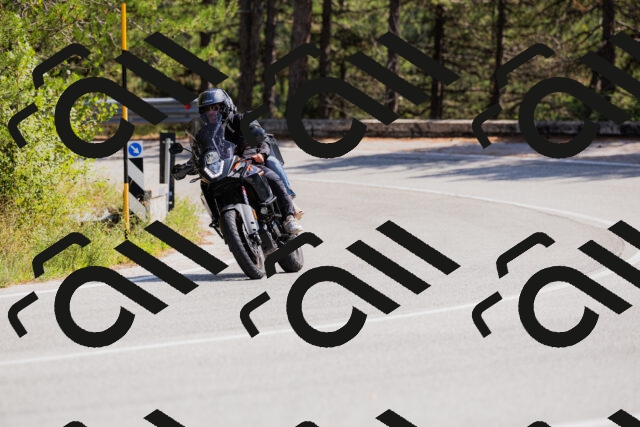 202509131339-_04A8488_c3