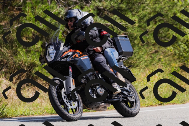 202509131339-_04A8490_c3