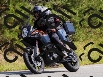 202509131339-_04A8490_c3