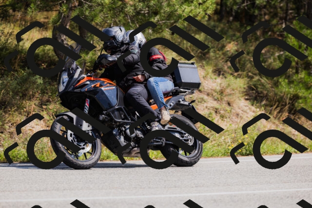 202509131339-_04A8491_c3